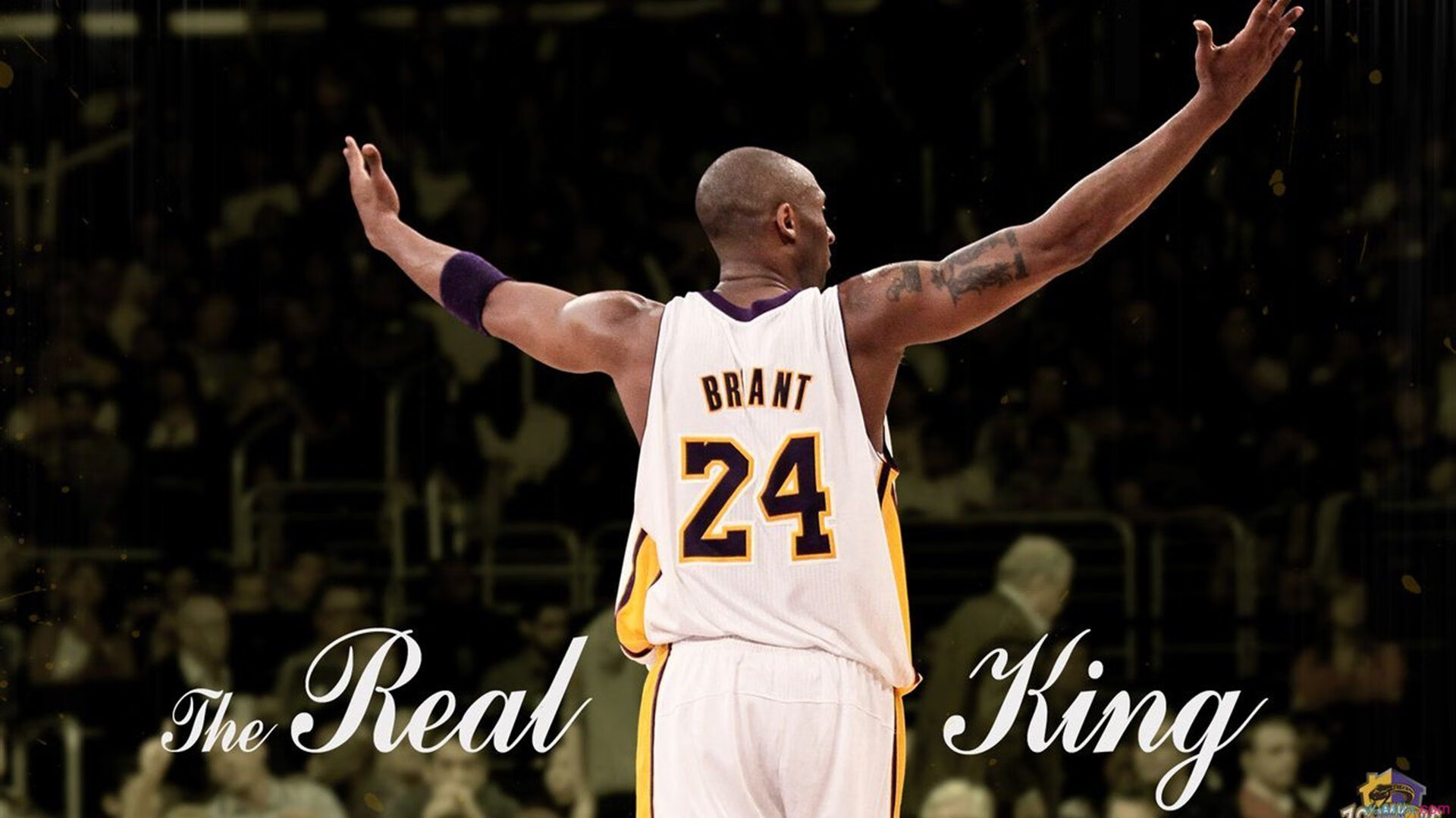 NBL中国邀请赛 澳大利亚联赛球队客场不敌CBA冠军 “亚洲客场不好打”